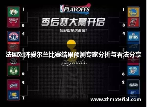 法国对阵爱尔兰比赛结果预测专家分析与看法分享